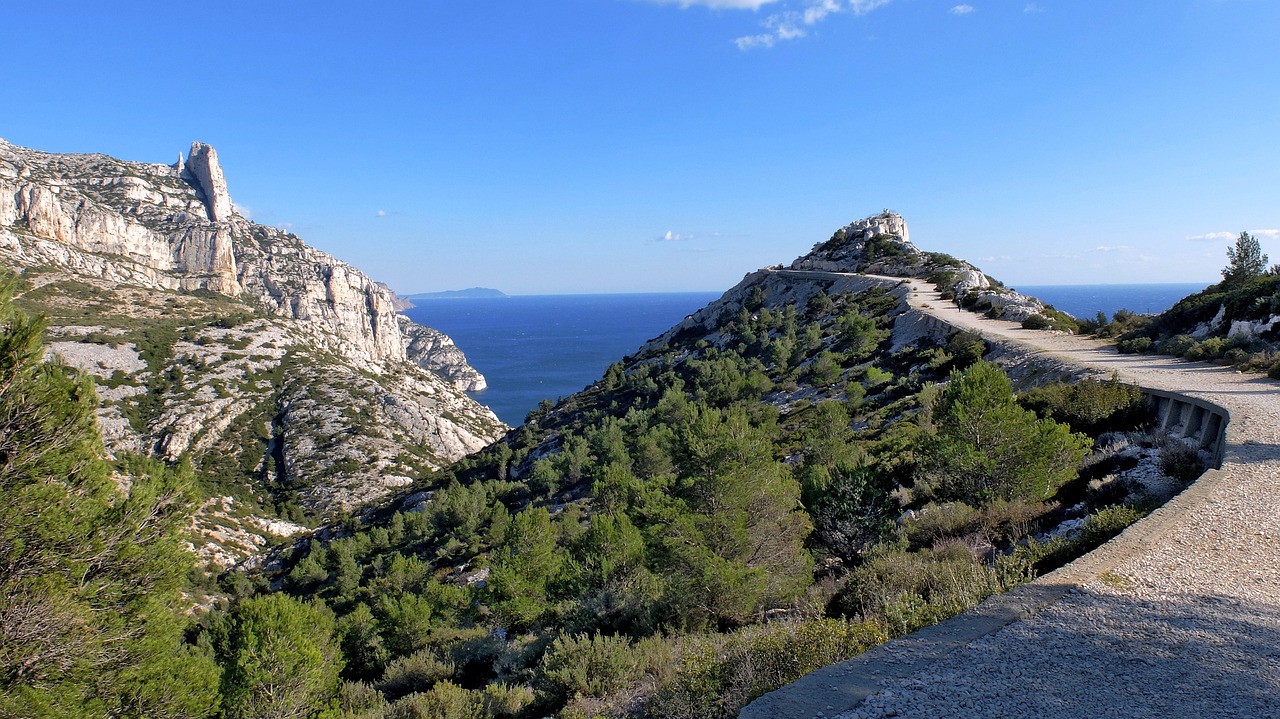 volin green sensibilisation environnement marseille